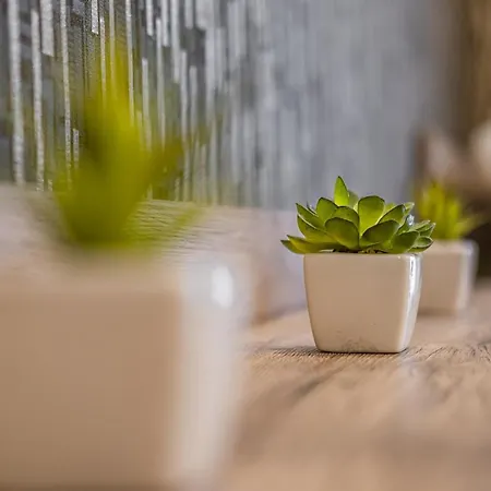 Myflat Club 218 Golden Wellness Apartment Siofok